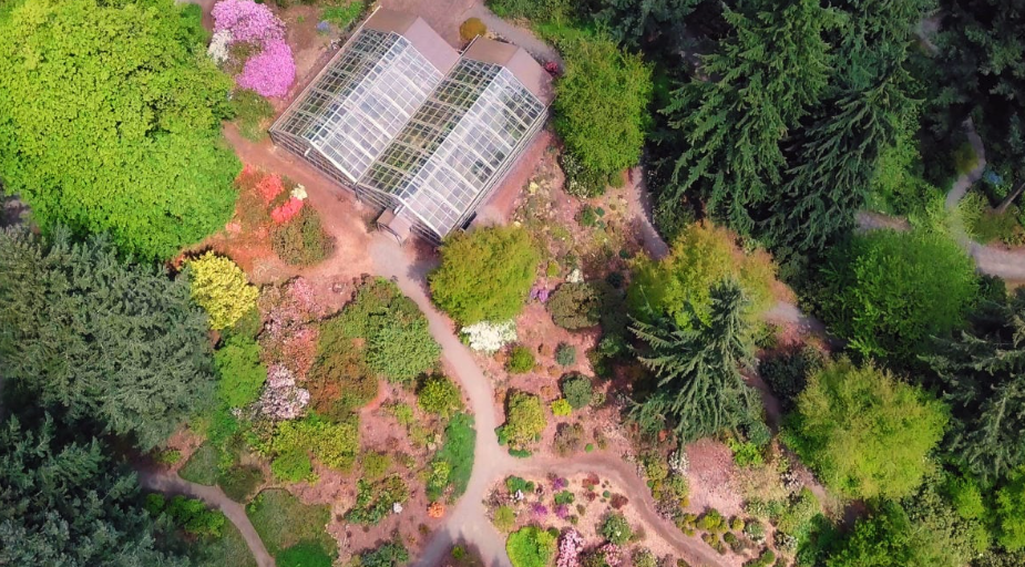 Rhododendron Species Botanical Garden, United States